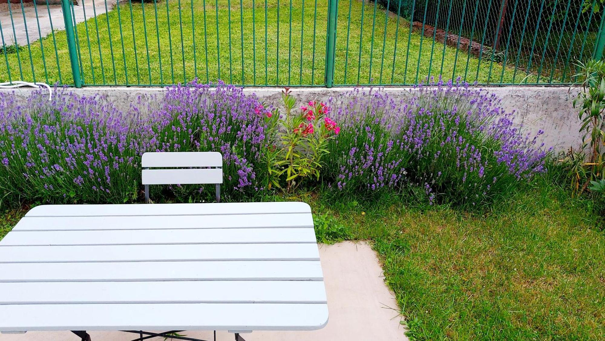 Miniszilva Apartman Balatonalmádi Buitenkant foto
