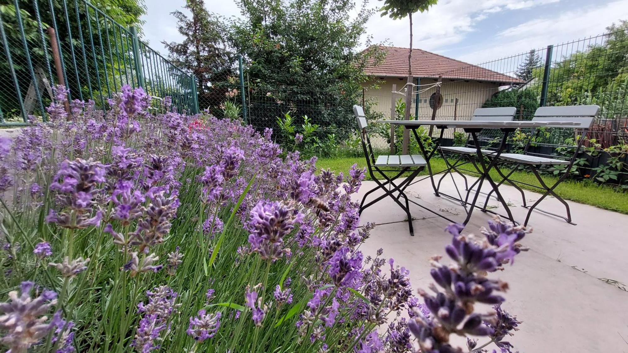 Miniszilva Apartman Balatonalmádi Buitenkant foto